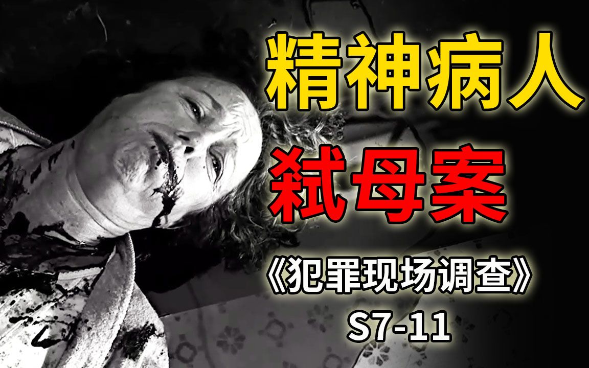 [图]精神病人弑母杀人，就能逃脱法律制裁吗？《CSI》S7-11