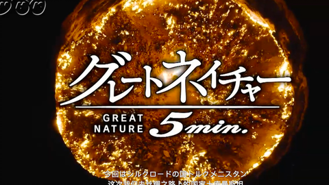 NHK ビデオディスク 栄光のフィレンツェ ルネサンス LD 完全保存版