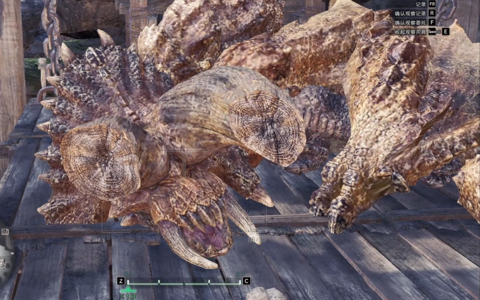 角龙(沙地之底)