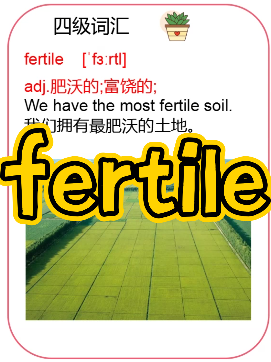 【词汇】fertile哔哩哔哩bilibili