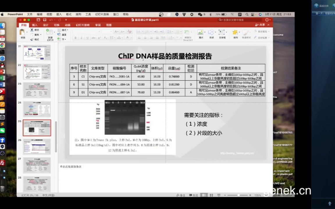 零基础学会单核苷酸多态性(SNP)相关数据分析、论文写作和课题设计医学会员免费学哔哩哔哩bilibili