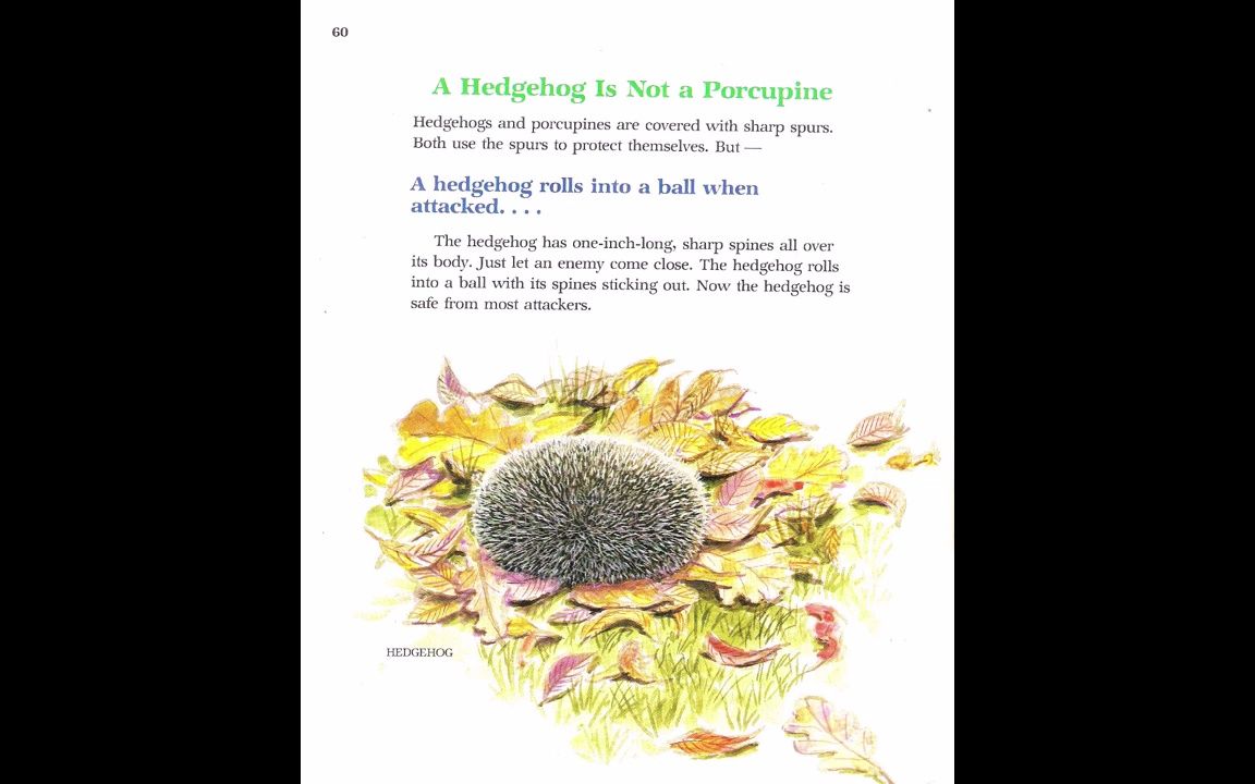 [图]【绘本阅读】a hedgehog is not a porcupine