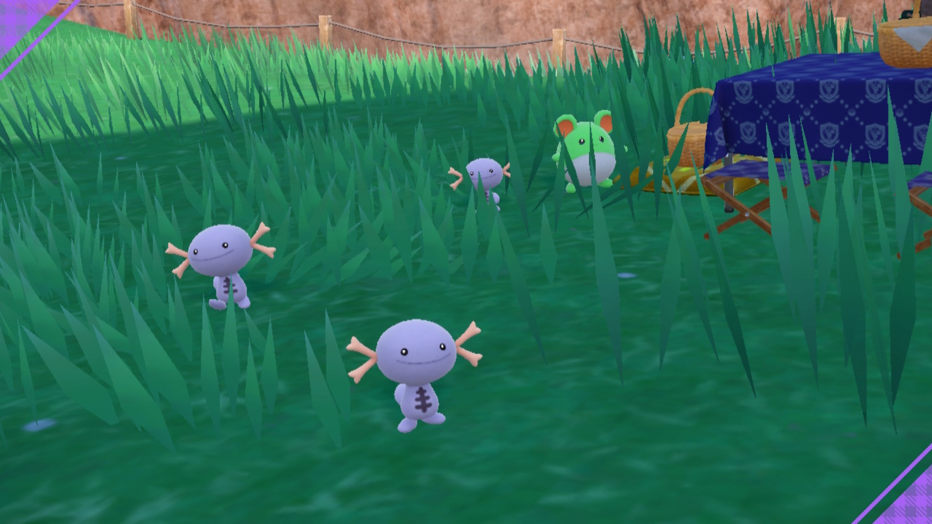 人生第二次路闪居然是在刷✨闪光乌波的时候出现的😲