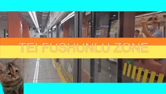 Download Video: TEI FUSHUNLU ZONE【上海地铁抚顺路】