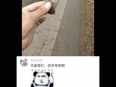 搞笑神评论哔哩哔哩bilibili