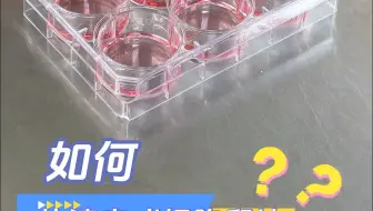 细胞爬片，超快速完成！赛维尔预置爬片的细胞培养板，无菌无酶，拆开即用。内置爬片，省时又省力！