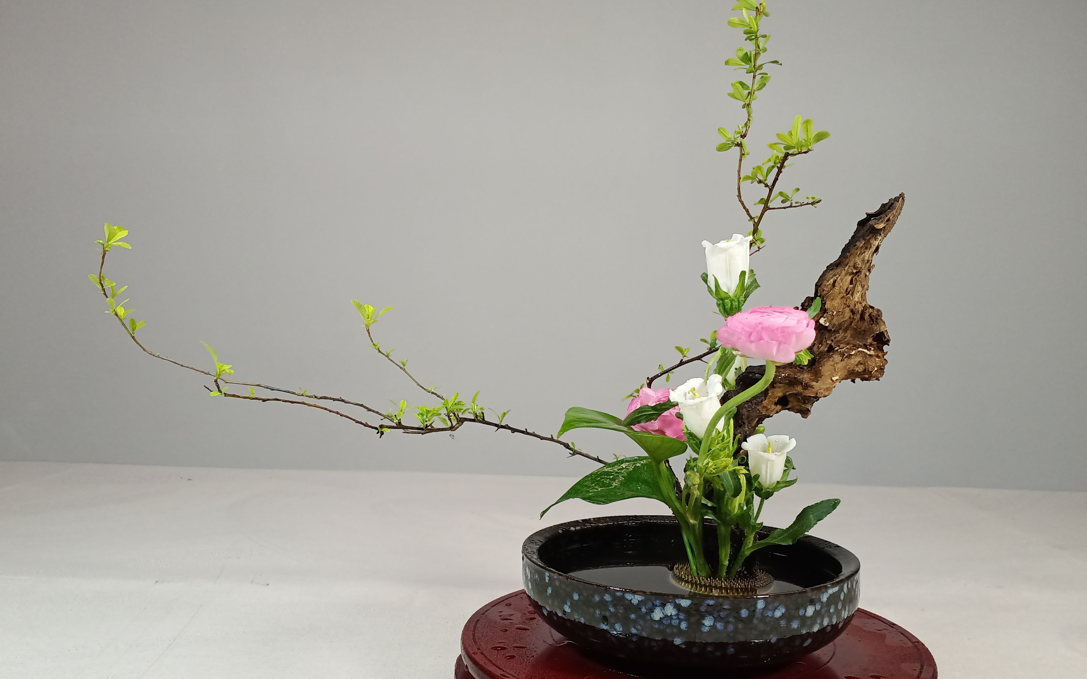 盘花_哔哩哔哩 (゜-゜)つロ 干杯~-bilibili