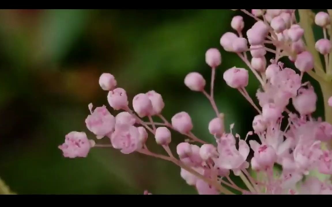 [图]四季的变化