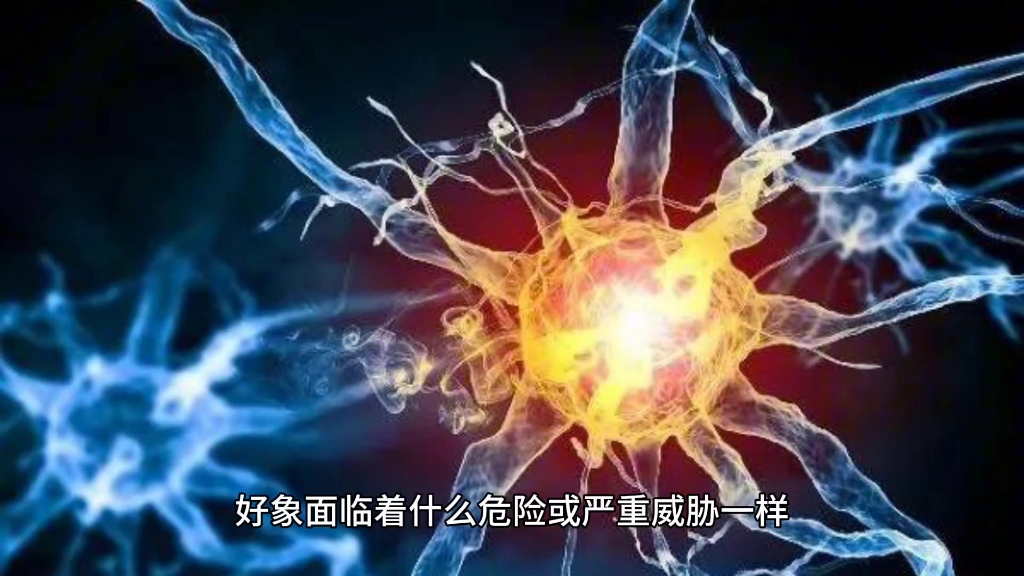 植物神经紊乱该怎么改善,试试凝神养元汤哔哩哔哩bilibili