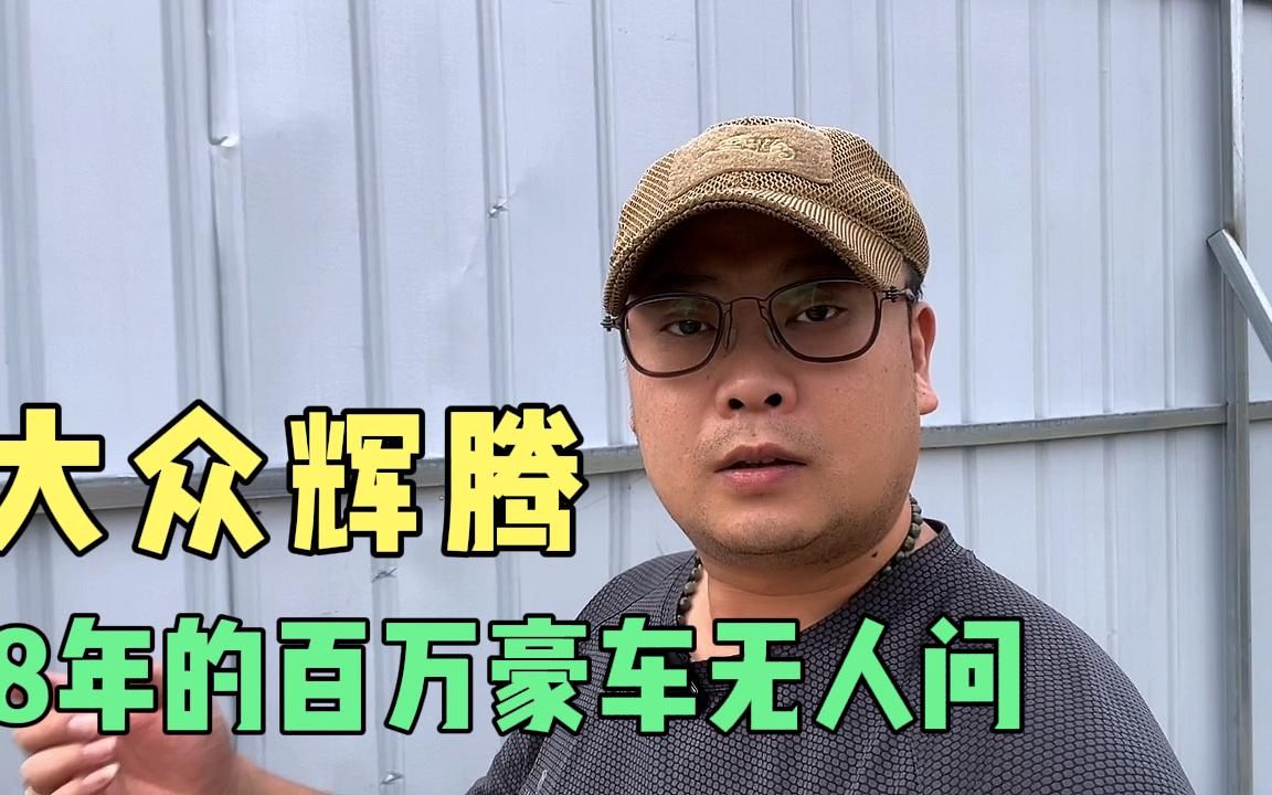 14年上牌的大众辉腾,8年多的二手车,还能值多少?哔哩哔哩bilibili