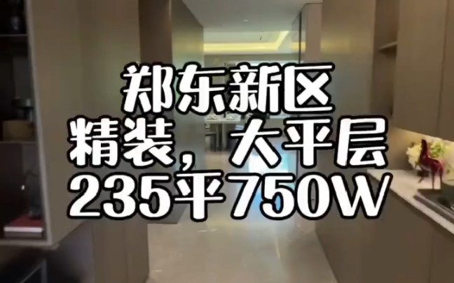 郑东新区精装修大平层235平750万哔哩哔哩bilibili