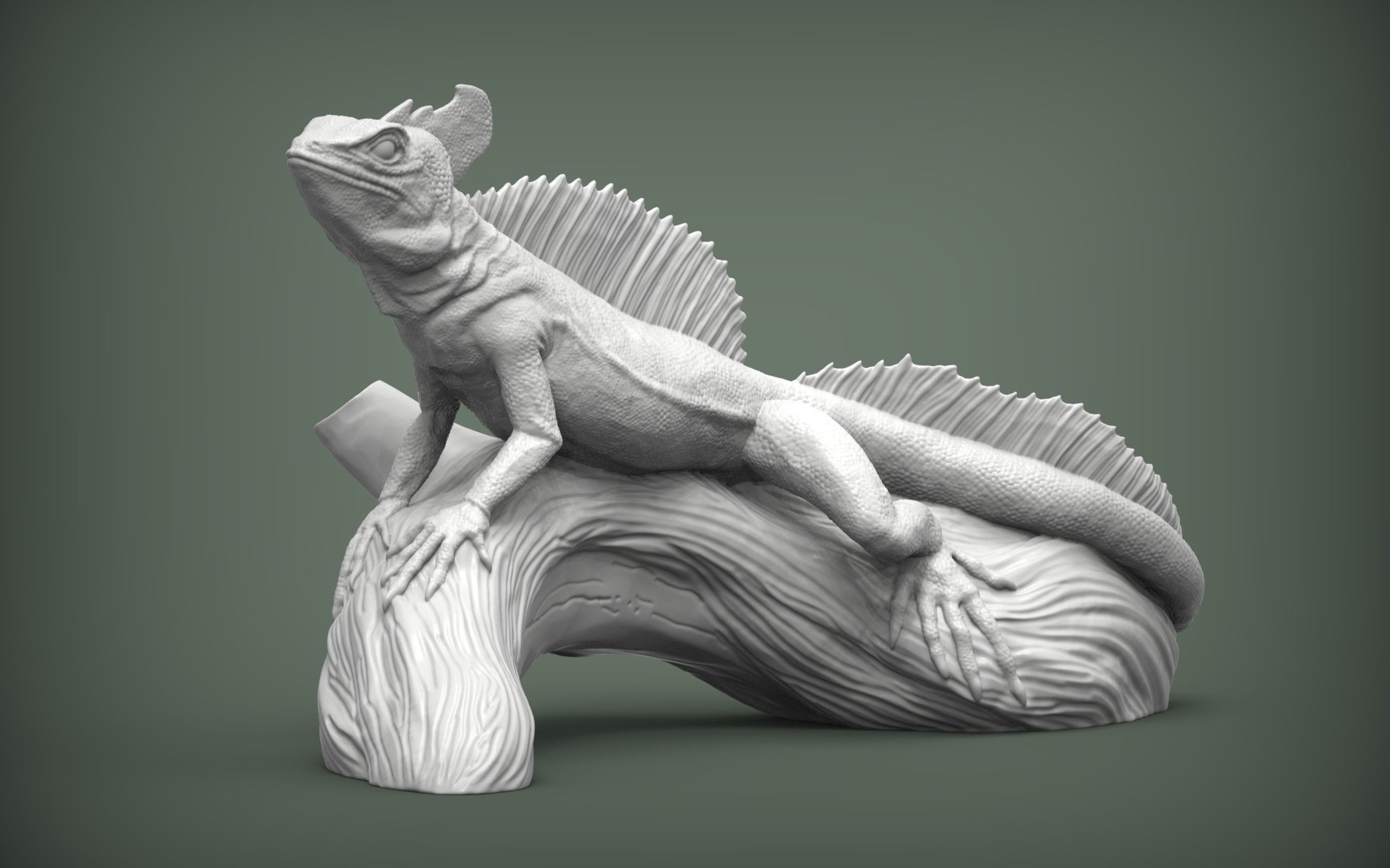 zbrush蜥蜴动物雕刻参考资料,zbrush雕刻资料