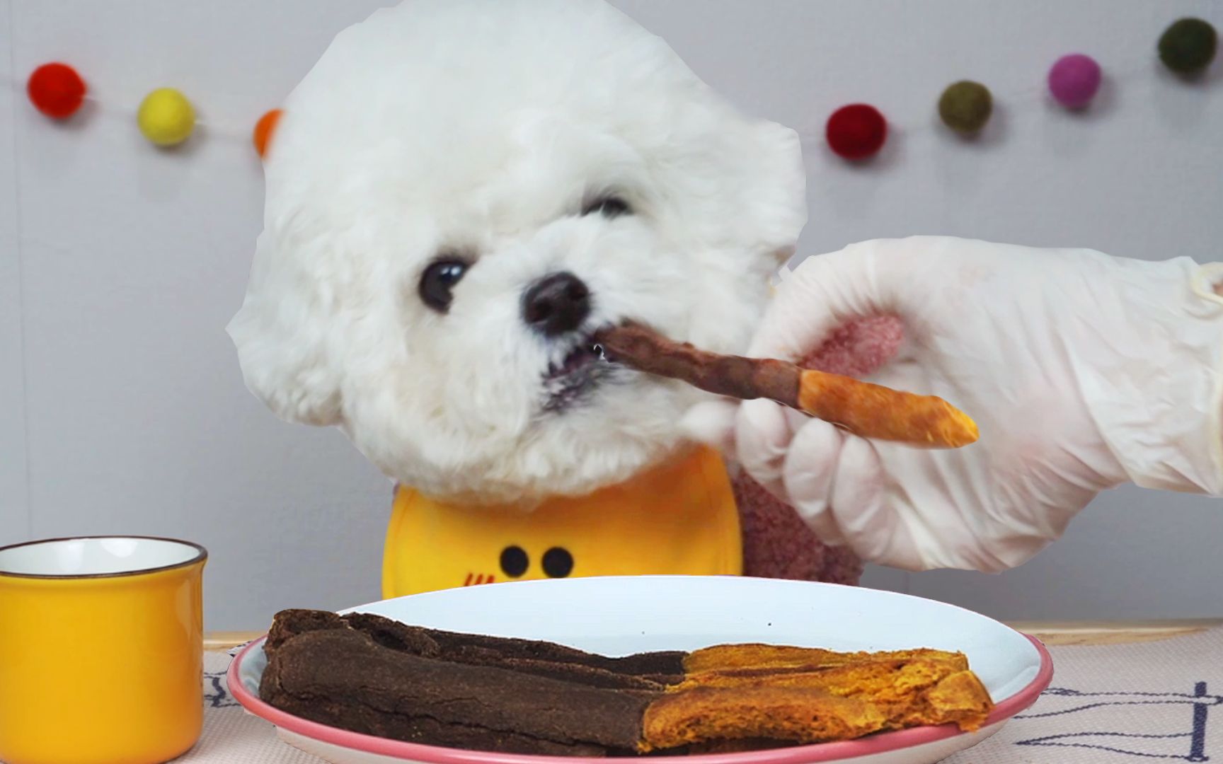 【安全的狗狗食物】小狗自己做年糕条,吃得干干净净!