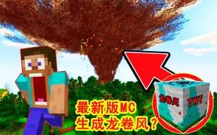 Descargar video: 我的世界：MC最新版竟有龙卷风TNT，释放一个，感觉要卷走一切！