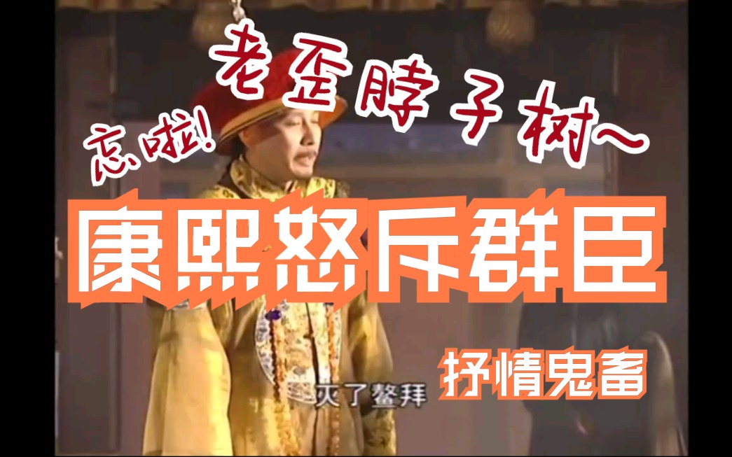 活动作品康熙怒斥群臣只有四个字下次一定