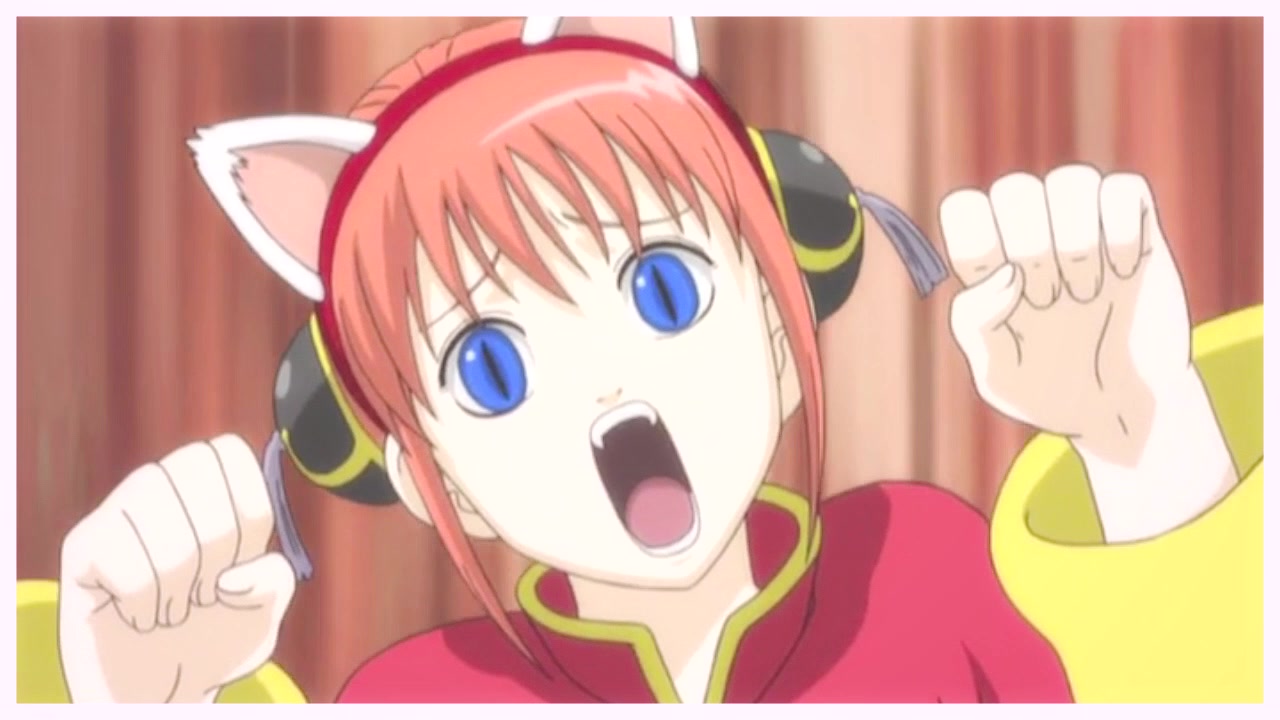 【银魂mad】冲神《踩到猫了》(神乐:喵!