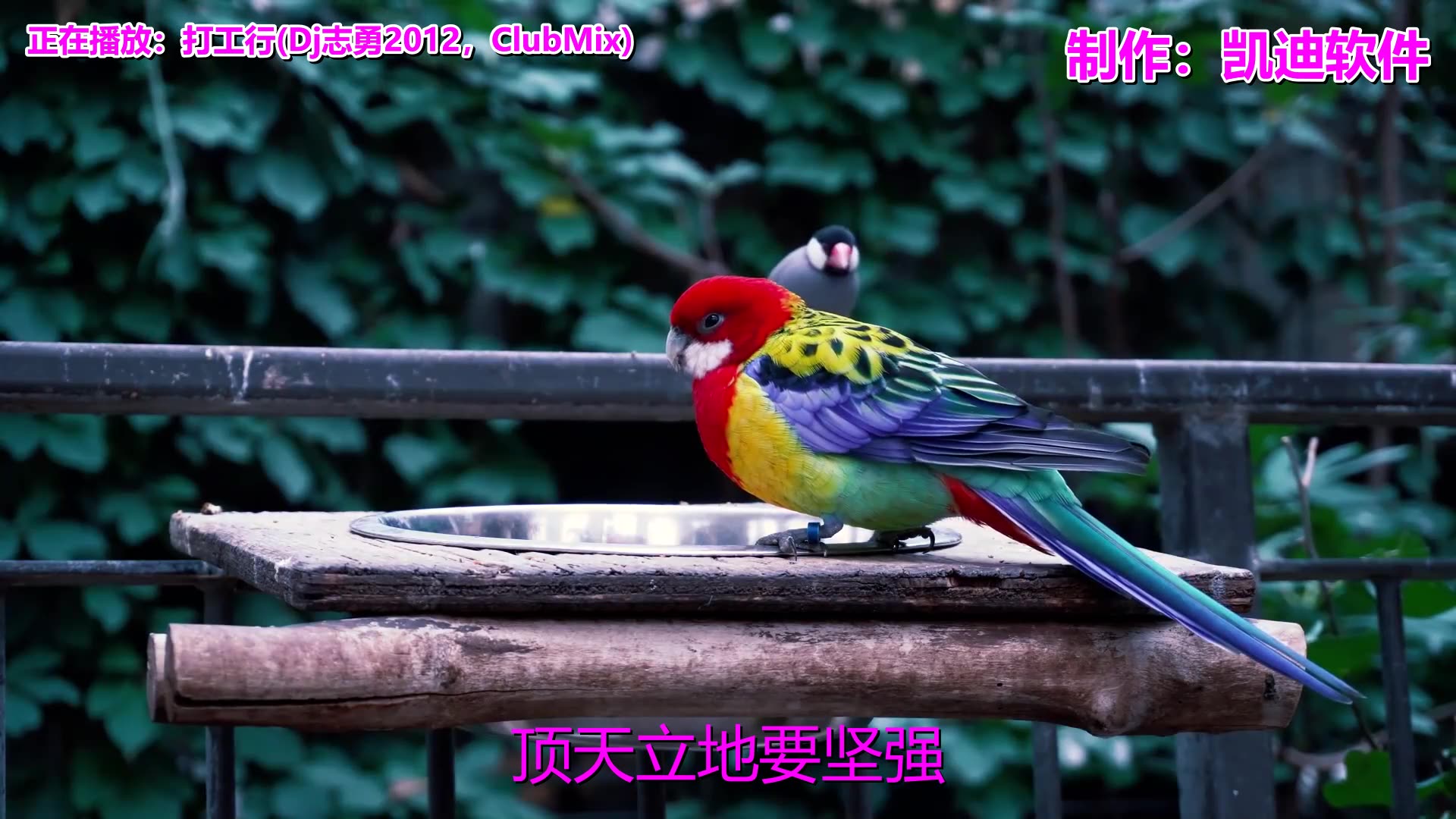 [图]一曲经典老歌《打工行(Dj志勇2012，ClubMix)》，