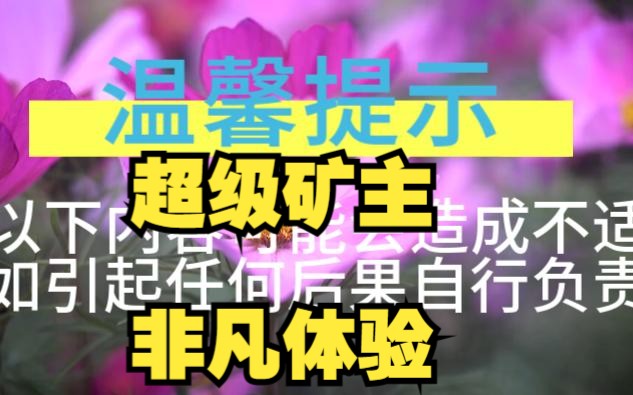 这才是矿主啊,超级大矿,猎奇解压视频,官方审核不通过,瞧不起在座的各位,觉得视频恶心,你们看不了哔哩哔哩bilibili