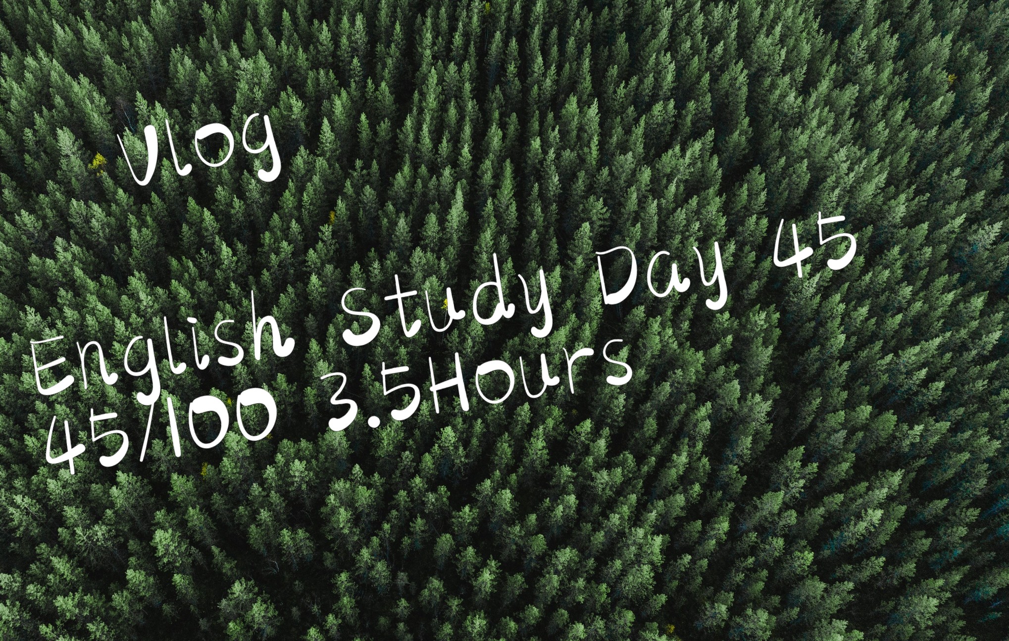 0519englishstudyday45