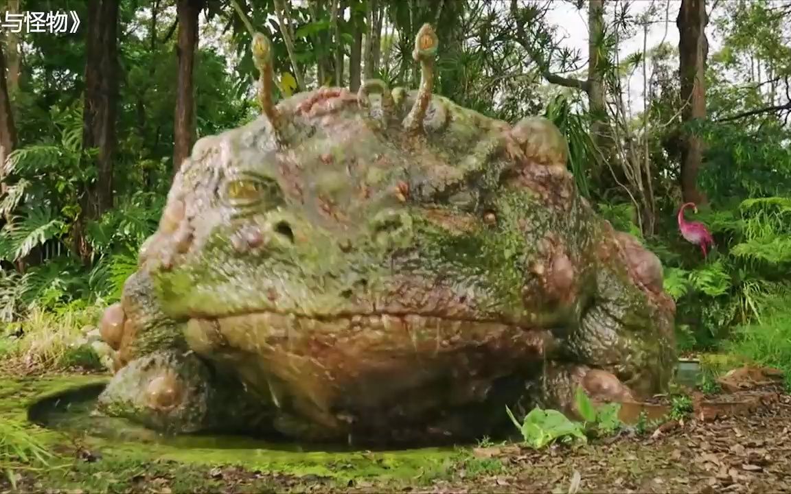 日本变异青蛙图片