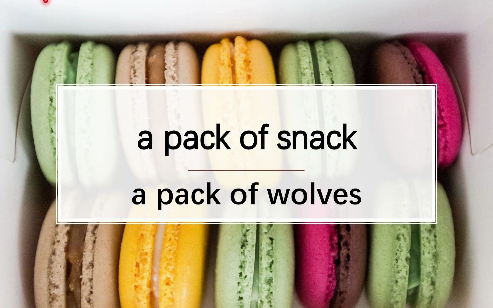 pack, package - 高中英语 2019 新人教版 必修一 unit2 travelling