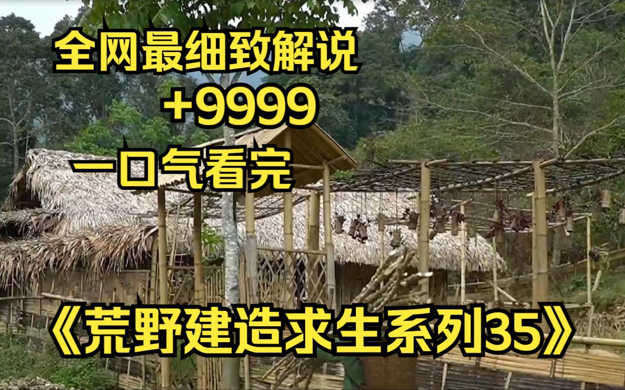 [图]【10小时】一口气看完《荒野建造求生系列35》9999部，看大神如何荒野变豪宅!助眠神视频，很少有人能坚持看完！