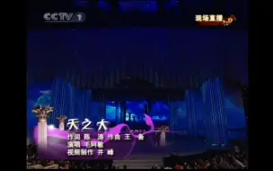 2009年春晚歌曲《天之大》演唱:毛阿敏