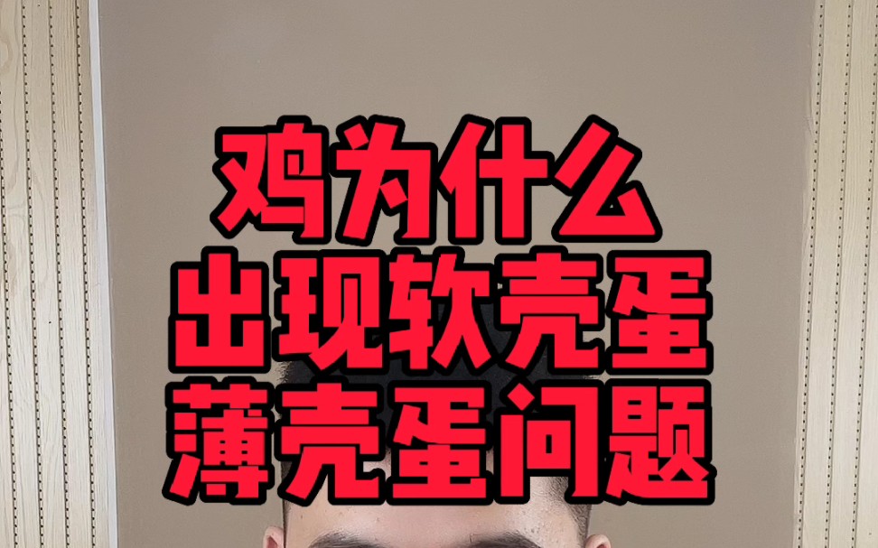 家鸡生软壳蛋是什么原因鸡生软壳蛋是怎么回事应该吃什么鸡生了软壳鸡蛋怎么回事母鸡生蛋是软壳蛋怎回事母鸡生软壳蛋有什么预兆哔哩哔哩bilibili