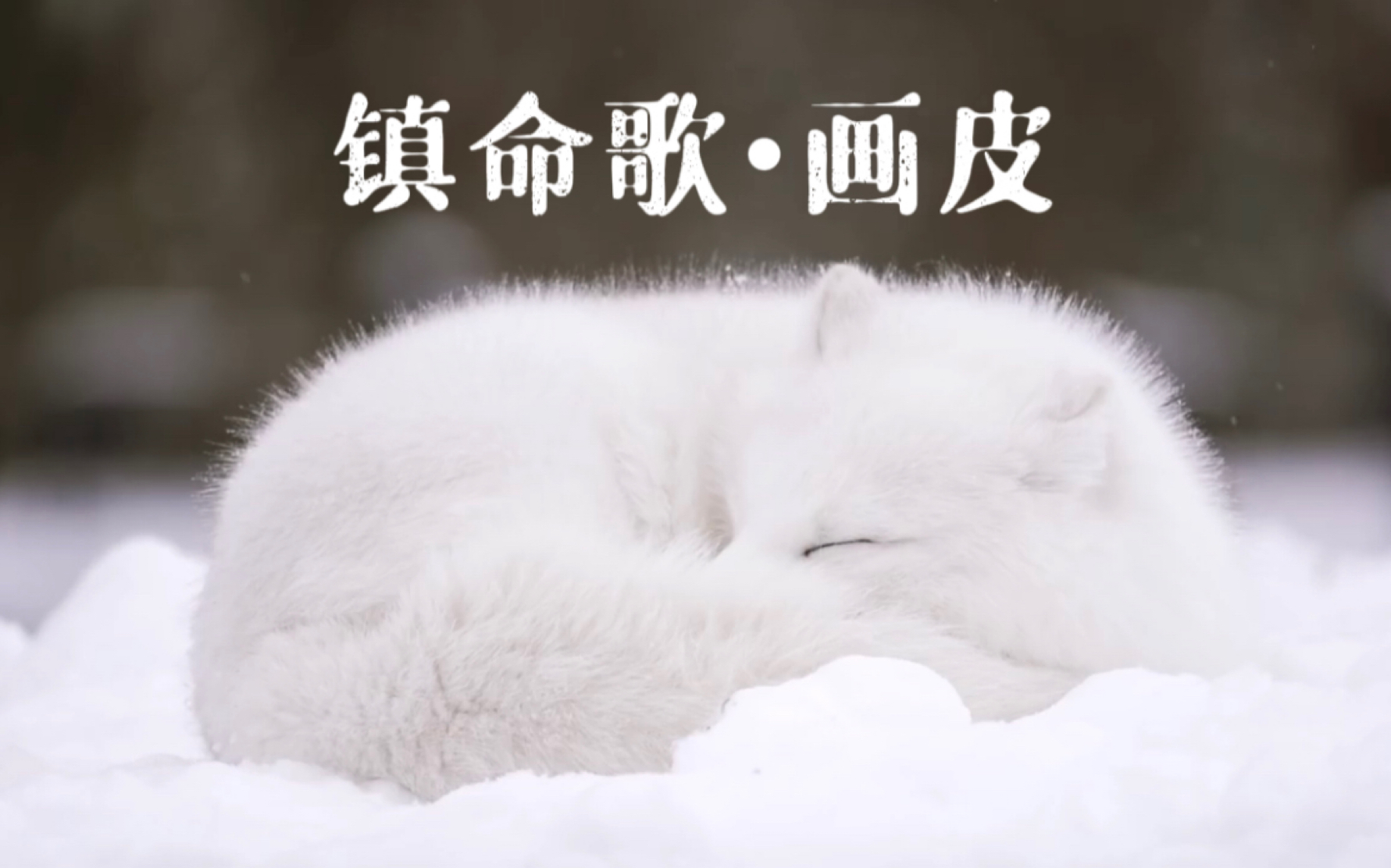 镇命歌61画皮 - 丁程鑫