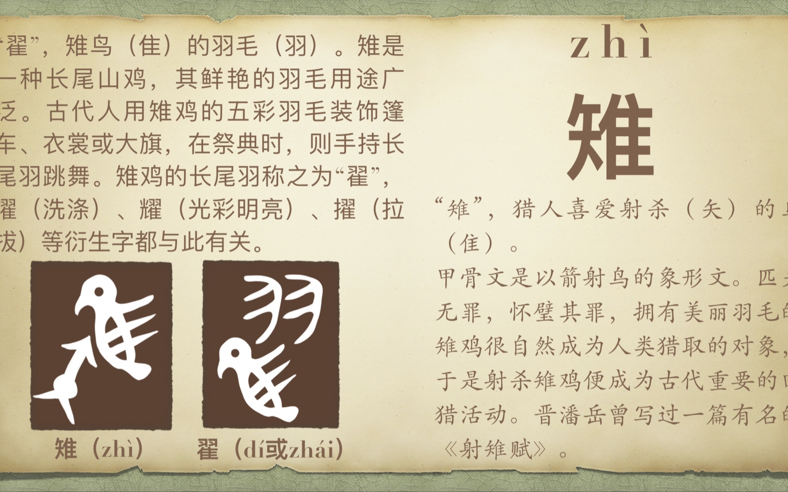 说文解字 雉