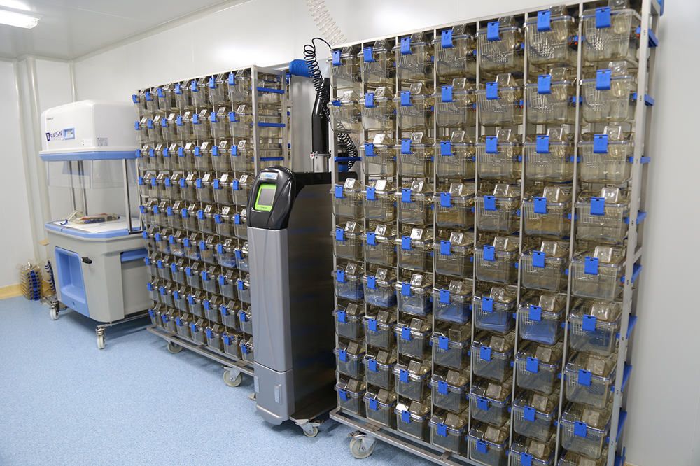 实验动物房ivc笼具如何消毒灭菌?ivc笼具原位消毒 log6杀灭率