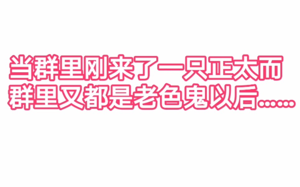 [图]【正太】当你的群里来了一只正太而群友又全都是老色鬼的时候