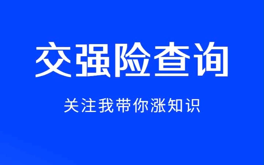 怎么查询车辆的交强险哔哩哔哩bilibili