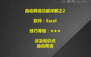 Download Video: EXCEL的自动筛选功能详解之2