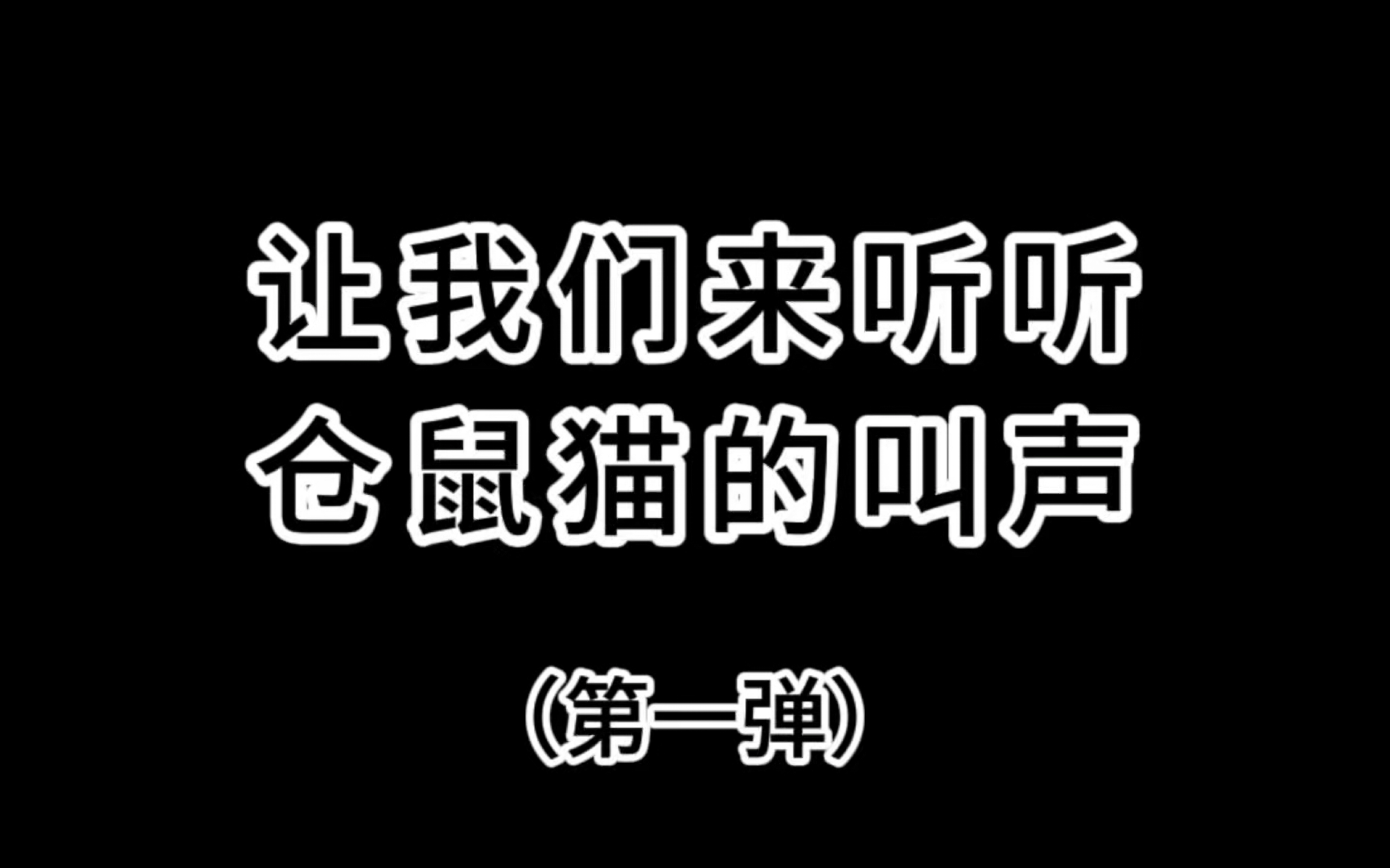 韩彬仓鼠的叫声是什么样的呢