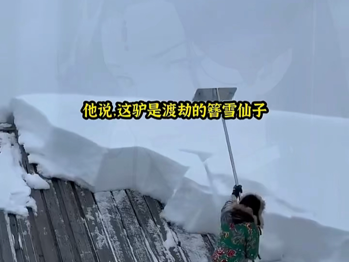 小说推荐《云荒照雪》哔哩哔哩bilibili