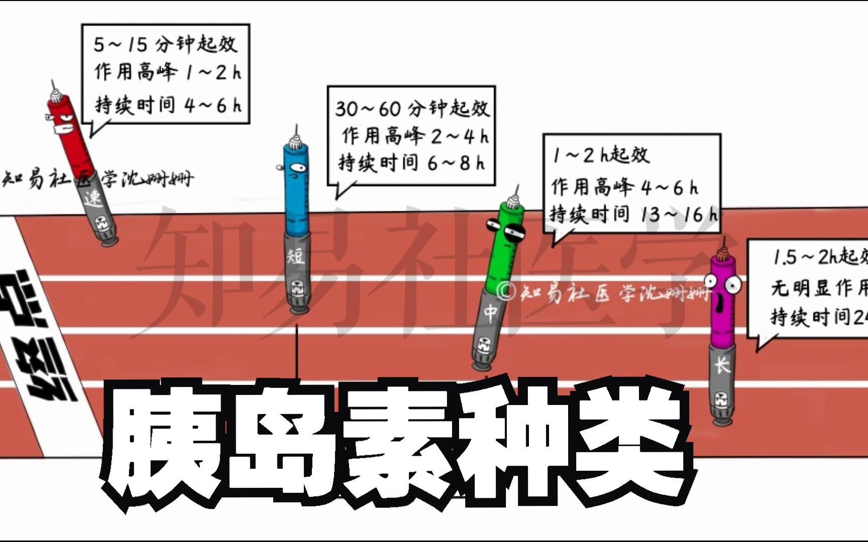 医学带背 4分钟掌握 【胰岛素种类】速效+短效+中效+长效+预混哔哩哔哩bilibili