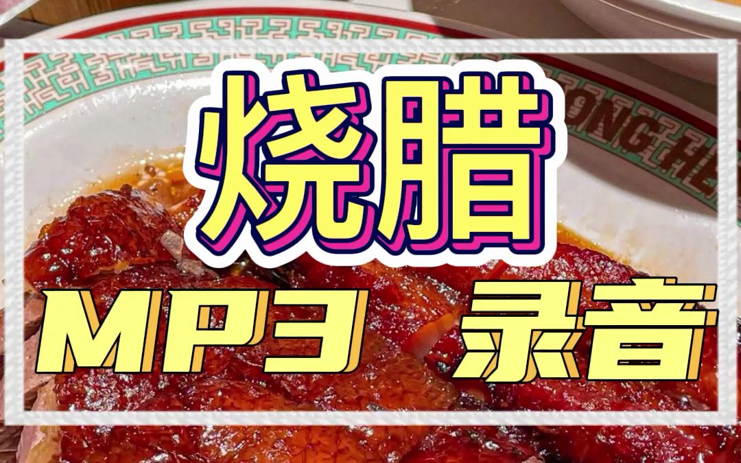 烧腊广告录音词语哔哩哔哩bilibili