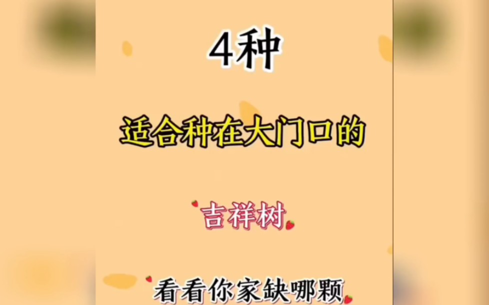 四种适合大门口的吉祥树哔哩哔哩bilibili