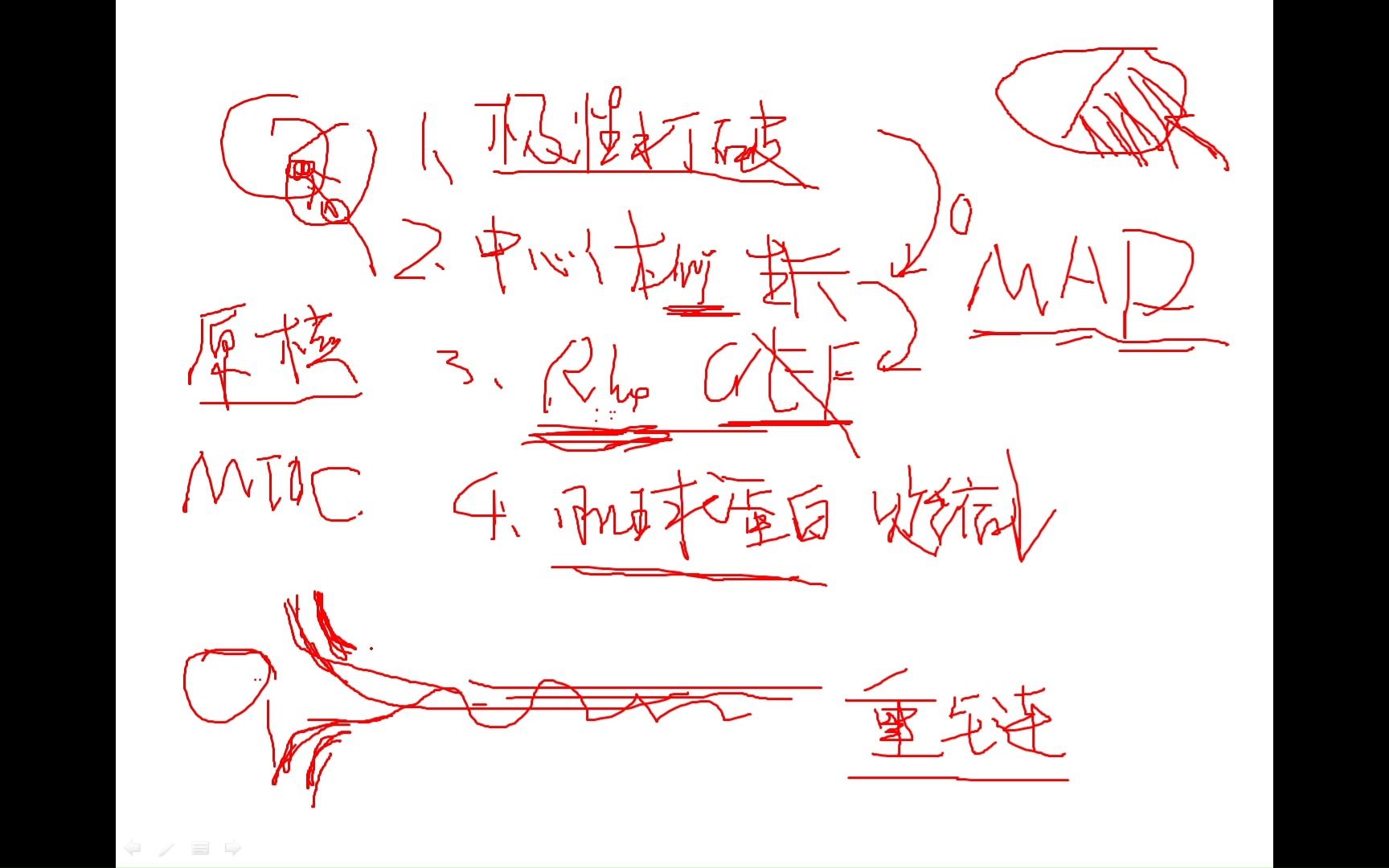 【细胞生物学讨论】13.2 细胞极性极性与胚胎发育哔哩哔哩bilibili