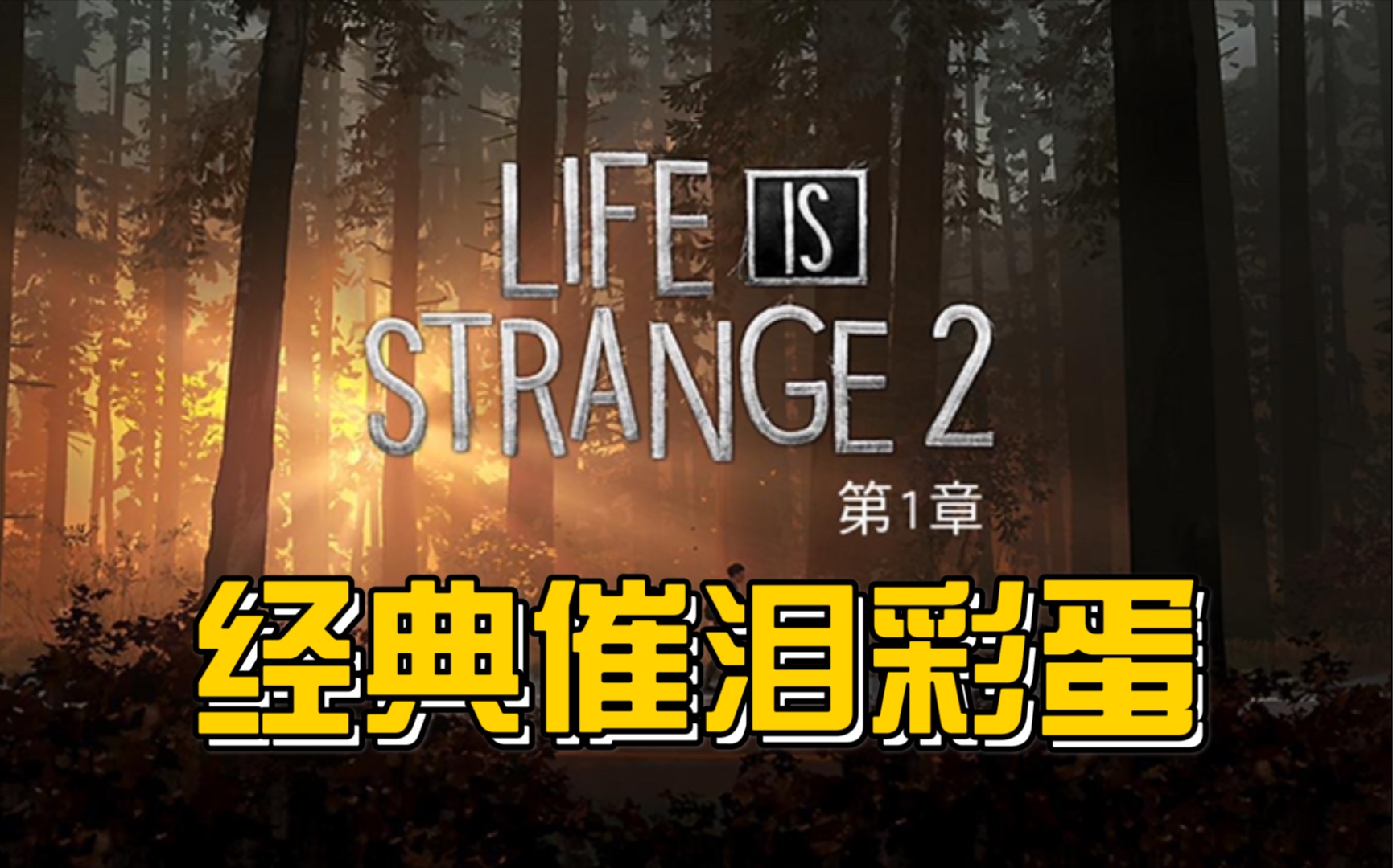 [图]Life is strange 2（奇异人生2）｜开启第一章之前一定要看老爸的短信！