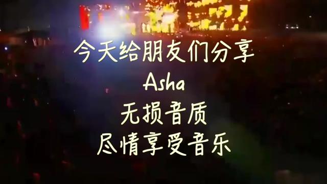 [图]车载纯电音推荐，扭动你的小豚豚嗨起来《Asha》