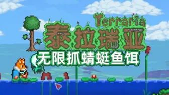 Download Video: 一株植物就能实现鱼饵自由？泰拉瑞亚无限刷蜻蜓