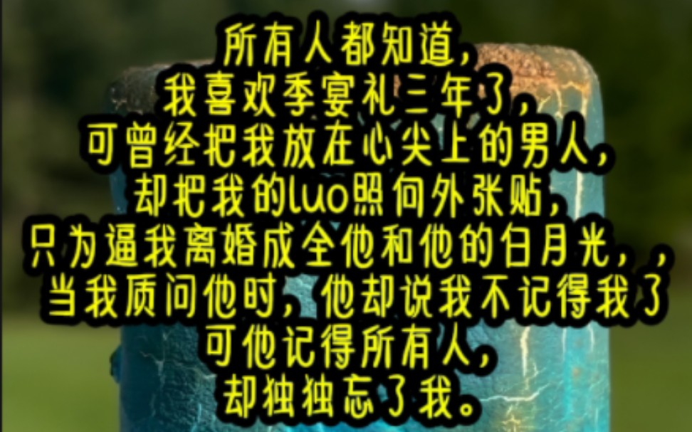 书铭《枳枳失控》,曾经把我放在心尖上的男人,却把我的裸照向外张贴,只为逼我离婚成全他和他的白月光,当我质问他时.他却说我不记得我了,可他记...