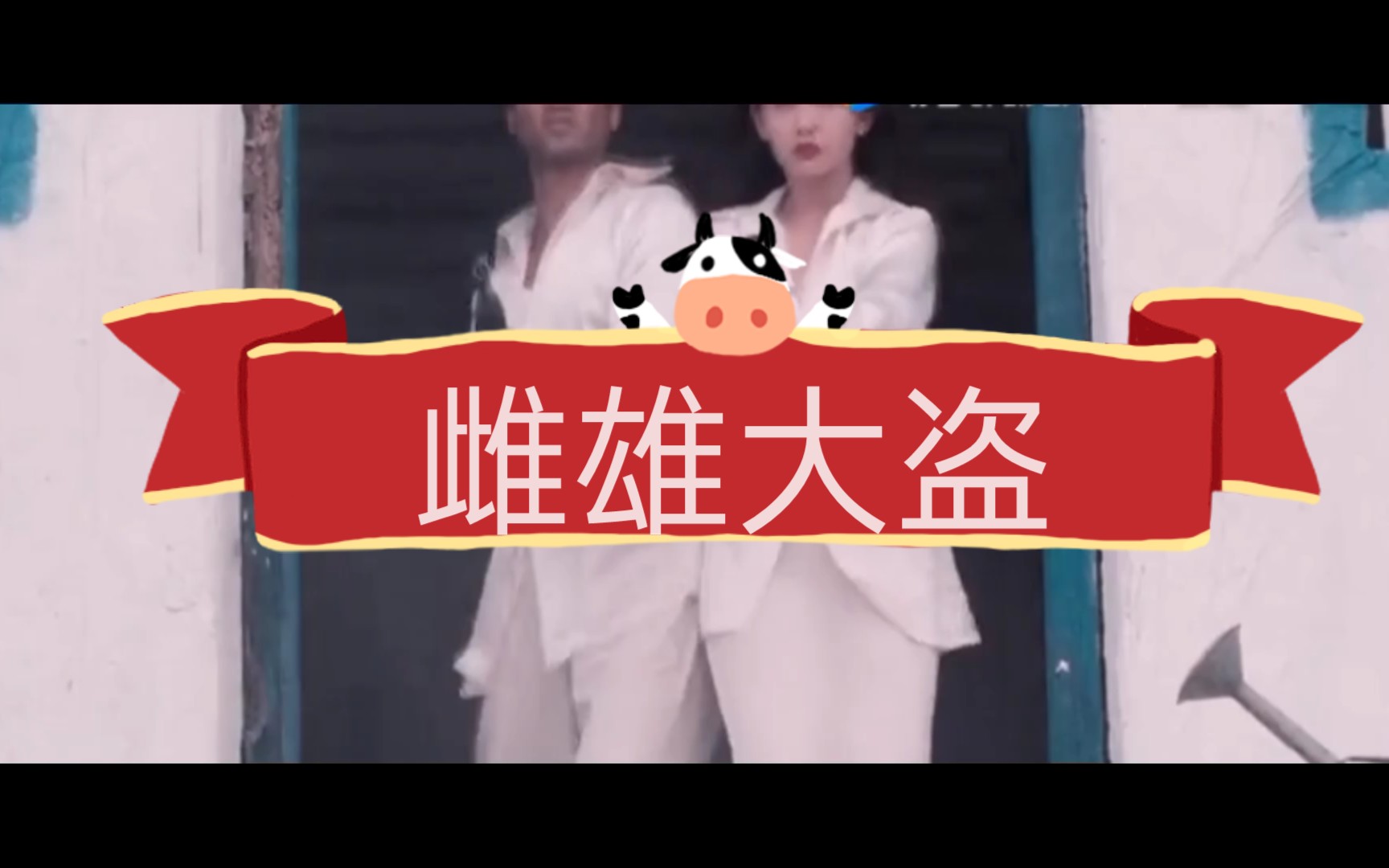 雌雄大盗哔哩哔哩bilibili