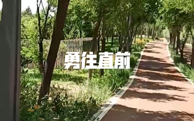 人生路茫茫哔哩哔哩bilibili