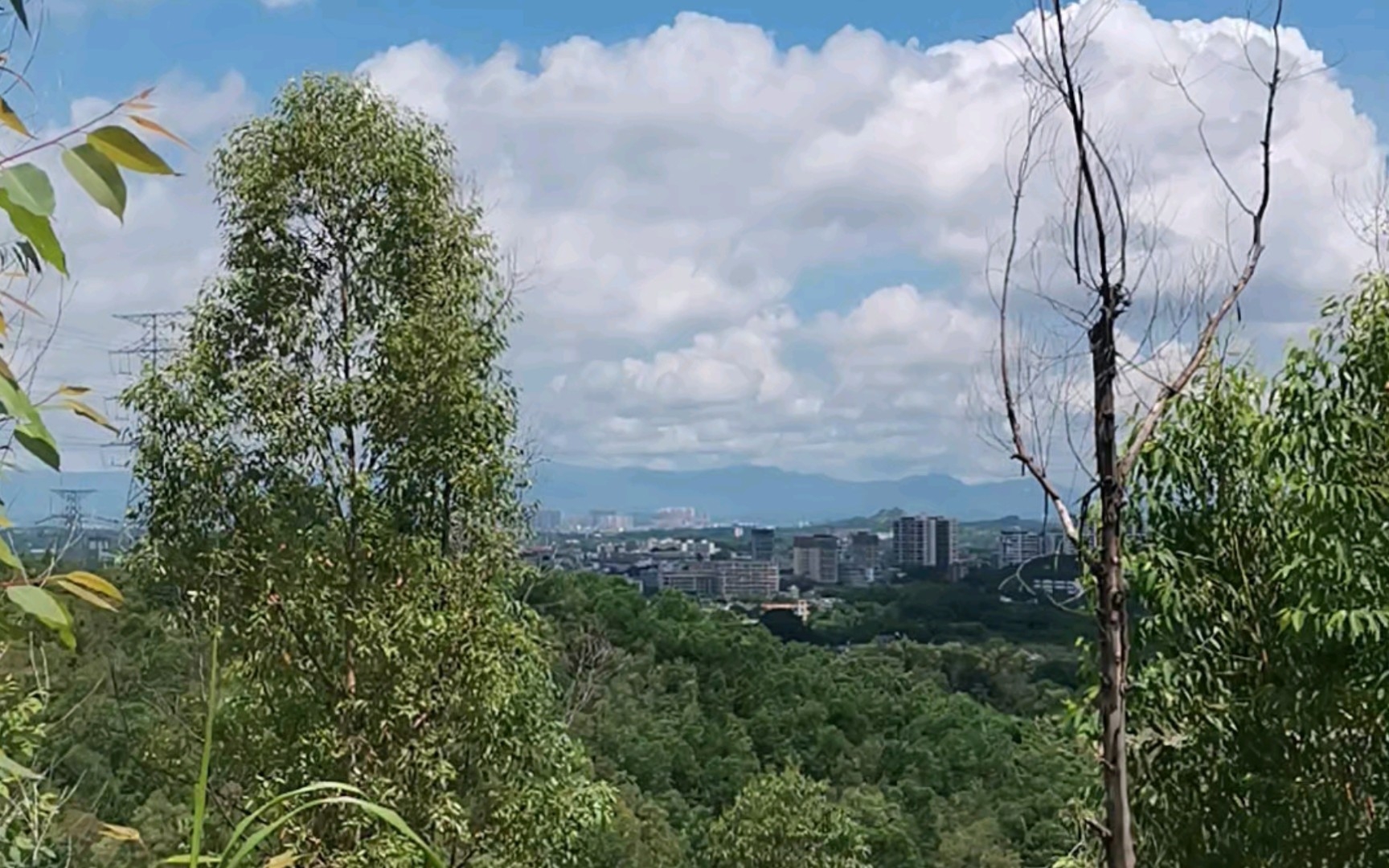 [图]天空晴朗，白云流淌，鸟儿自由歌唱，阳光照耀，高高山岗…