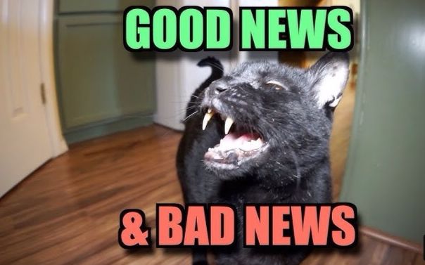 [图]【Talking Kitty Cat会说话的猫/黑猫Sylvester】好消息坏消息Good News&Bad News