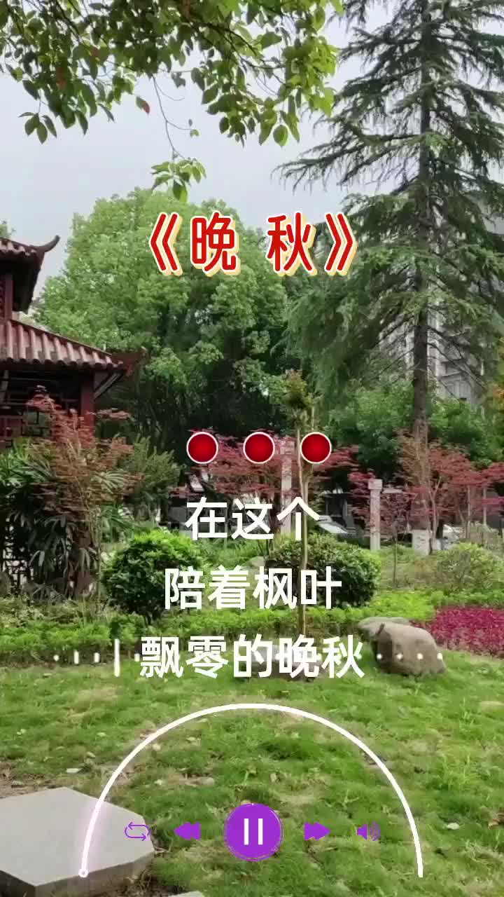 晚秋经典老歌哔哩哔哩bilibili