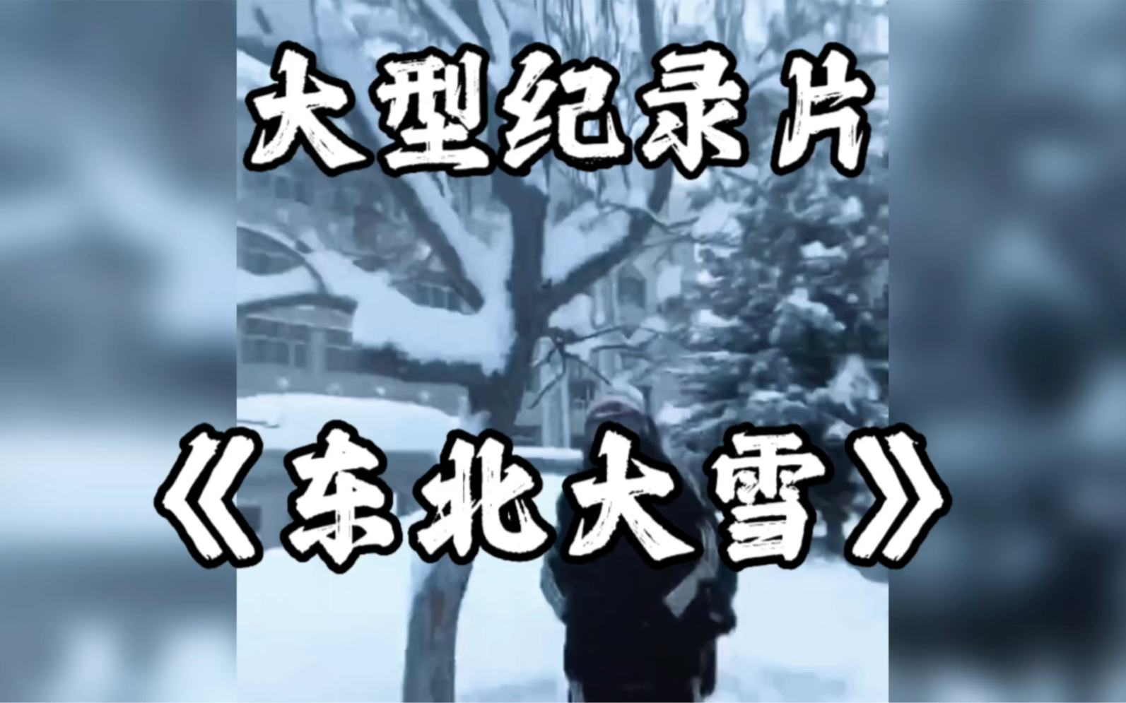 [图]大型纪录片《东北大雪》南方人第一次在东北看雪的样子，太搞笑了